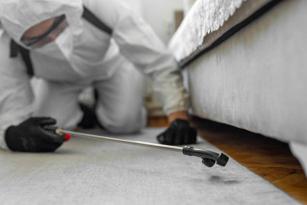 Professional Termite Control technician working in Osage Beach, MO